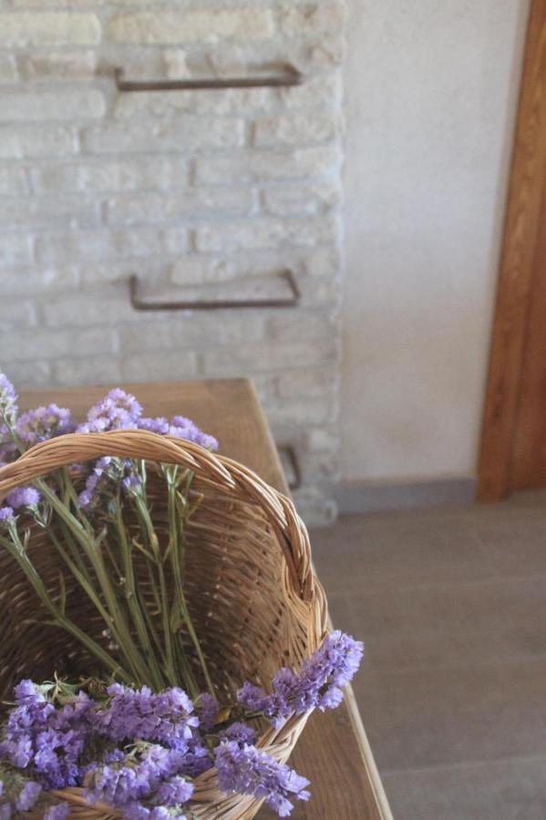 Masia Rural L'Hort De Maso Miravet Luaran gambar